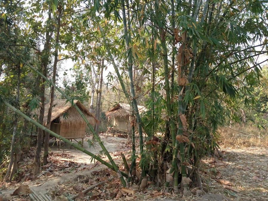 ecole-nuadsen-thailande-massage-thai (12)