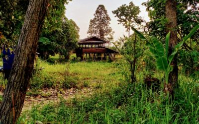 L’école Nuad Sen Thailande