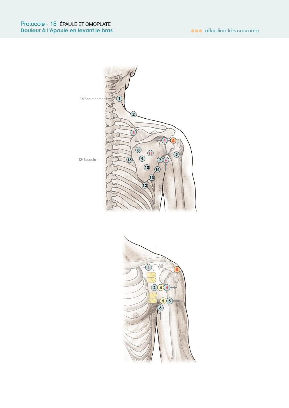 acupression points d'acupression thaïs